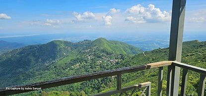TEA NEST CAFE ND HOMESTAY