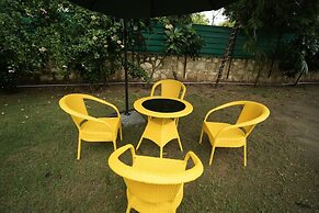 Mango People Farm