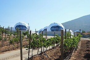 Cupulas Del Valle
