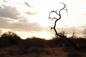 Shibam Campsite