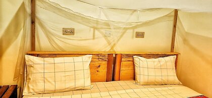 Lights of Kazinga Homestay