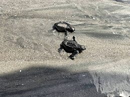 Playa Caracol, a Happy Beach