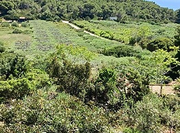 Apartmani Green Oasis