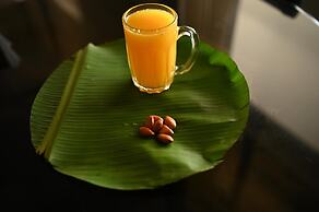 VSR VRIKSHA NATUROPATHY WELLNESS