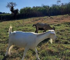 Podere la Botte Pool Lari