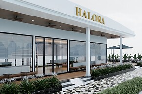Halora Nova Cruise