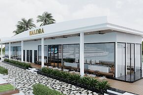 Halora Nova Cruise