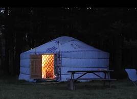 Les insolites de la bastide