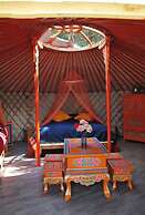 Les insolites de la bastide