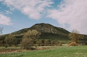 Les insolites de la bastide