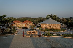 Wild forest Sasan Gir Wildlife Sanctuary