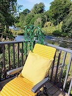 The Hive on the River Bank
