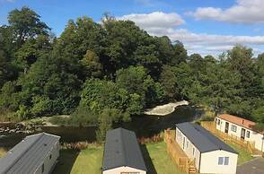 The Hive on the River Bank