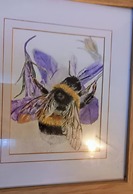 The Hive on the River Bank