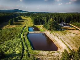 Komfortowy Leśny Dworek