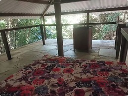 Ninhos de Pipa