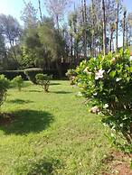 Wooden Knee cottages Nanyuki