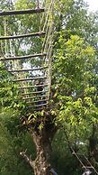 Nature Walk Resort Mussoorie