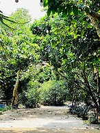Tropical Fruit Garden Homestay