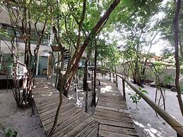 Ninhos de Pipa 02