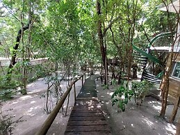 Ninhos de Pipa 03