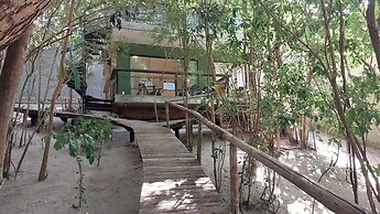 Ninhos de Pipa 03