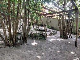 Ninhos de Pipa 03
