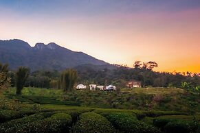 Doi Inthanon Tea Farmstay