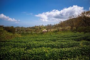 Doi Inthanon Tea Farmstay