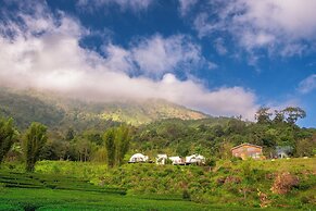 Doi Inthanon Tea Farmstay