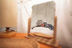 Doi Inthanon Tea Farmstay