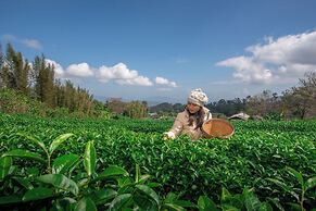 Doi Inthanon Tea Farmstay