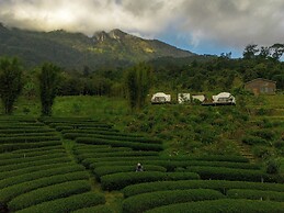 Doi Inthanon Tea Farmstay