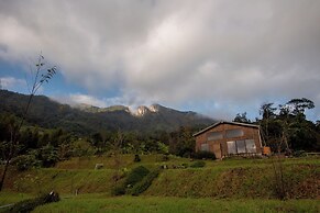 Doi Inthanon Tea Farmstay