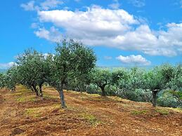 agriturismo e maneggio Poggio Leone