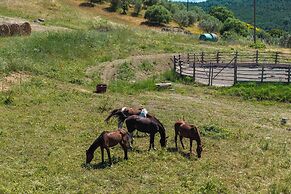 agriturismo e maneggio Poggio Leone
