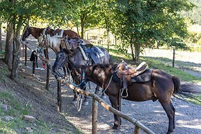 agriturismo e maneggio Poggio Leone