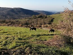 agriturismo e maneggio Poggio Leone