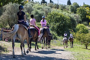 agriturismo e maneggio Poggio Leone
