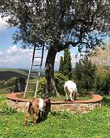 agriturismo e maneggio Poggio Leone