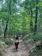 agriturismo e maneggio Poggio Leone