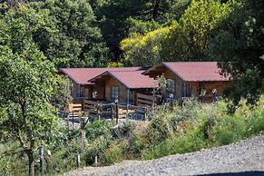 agriturismo e maneggio Poggio Leone
