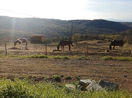 agriturismo e maneggio Poggio Leone