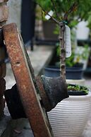 Dulcius ex asperis - bed & breakfast