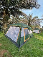 Bugoma Palms Resort Beach and Hotel