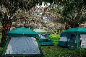 Bugoma Palms Resort Beach and Hotel