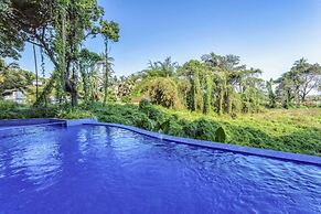 Serene Candolim 2bhk With Infinity Pool