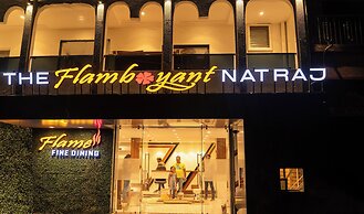 The Flamboyant Natraj