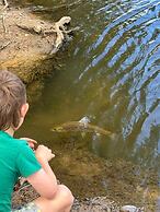 Snowy River Holiday Park