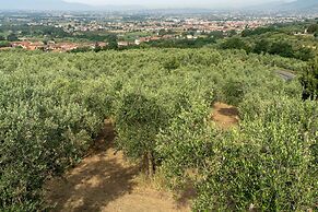Amazing View Laporecchio Hills